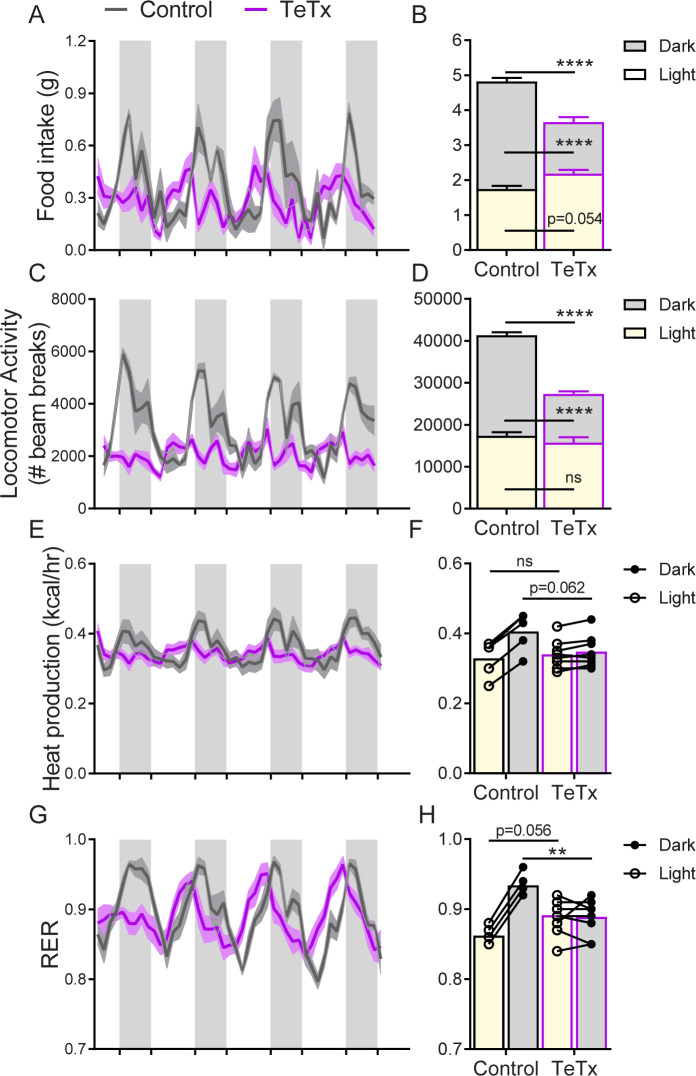 Figure 3—figure supplement 2.