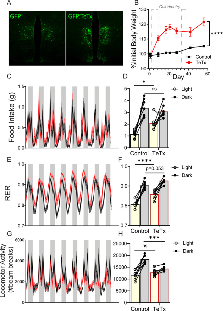 Figure 3—figure supplement 1.