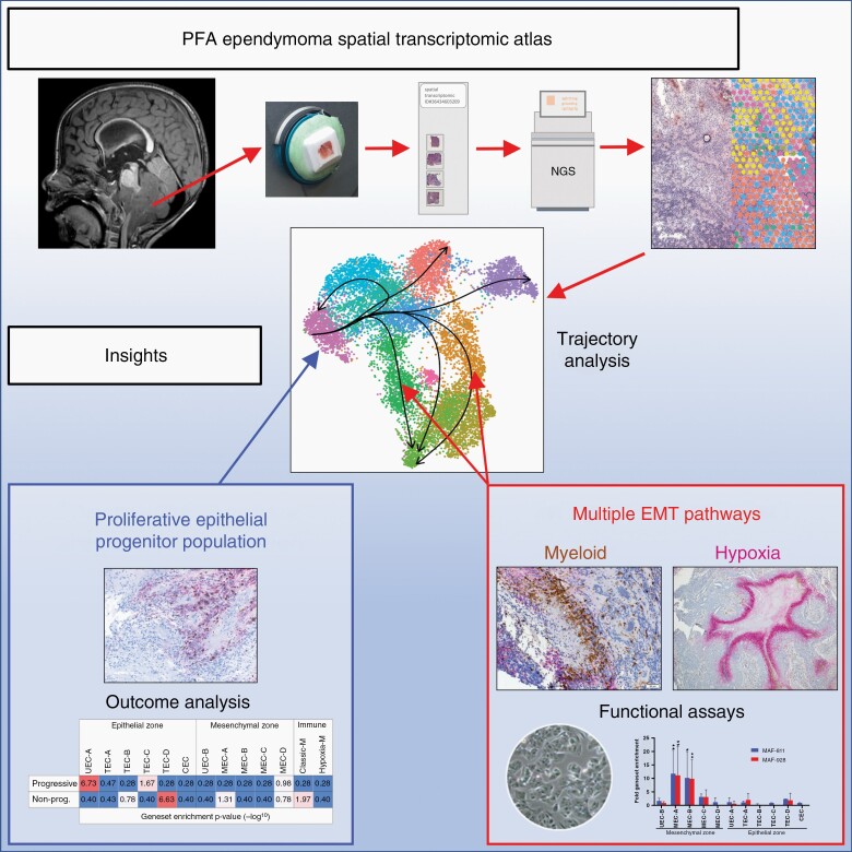 Graphical Abstract