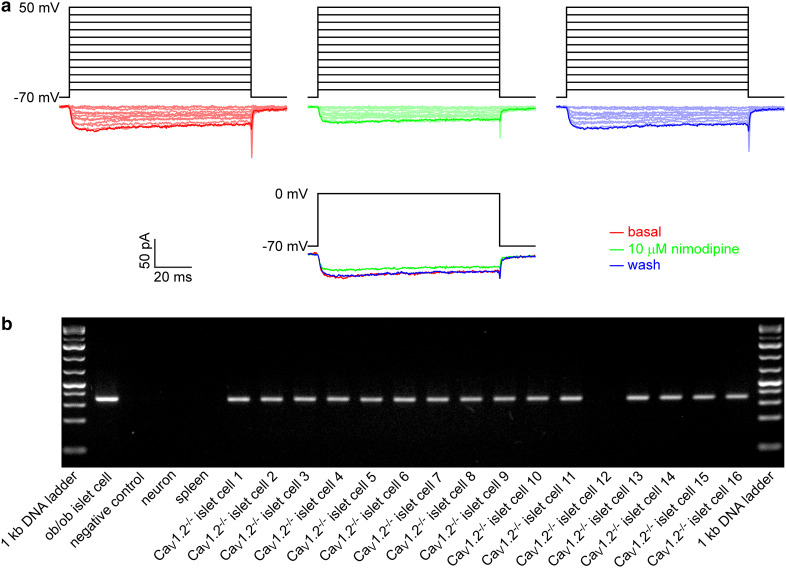 Fig. 1