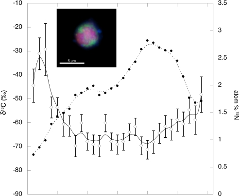 Fig. 4.