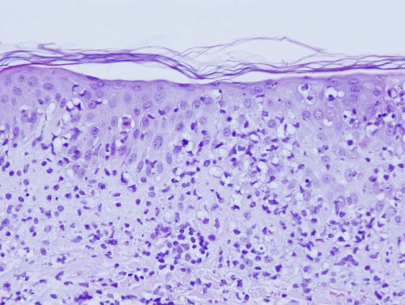 Figure 7