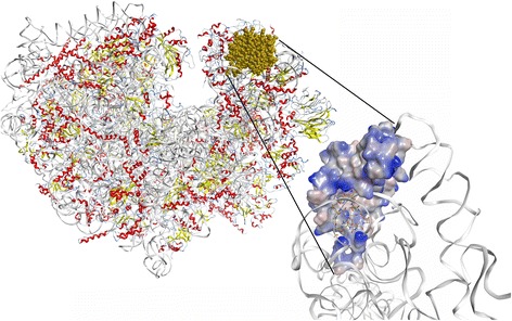 Fig. 10