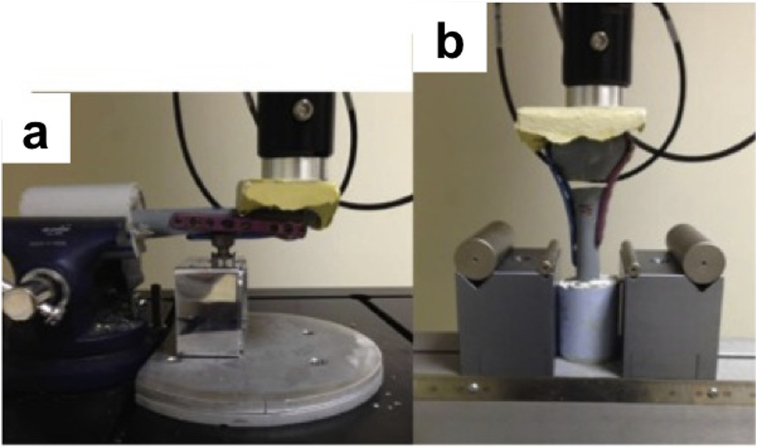 Fig. 3