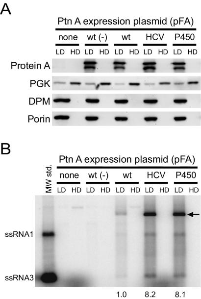 FIG. 5.