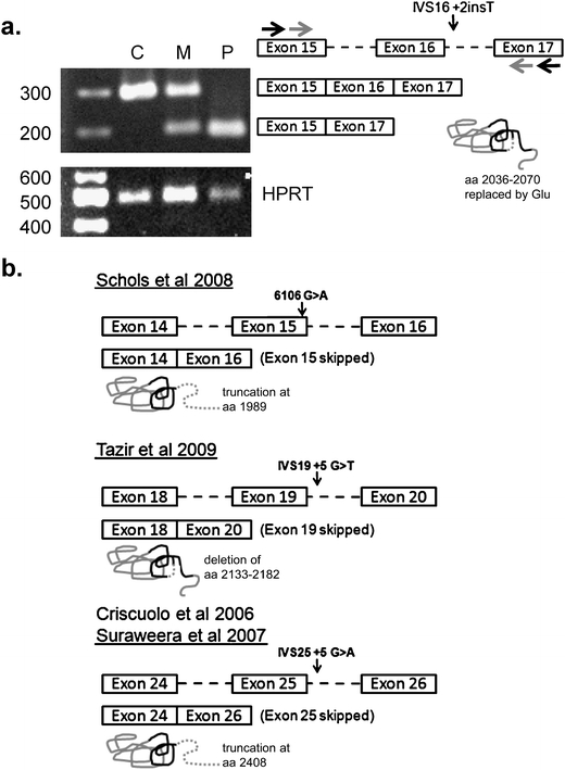 Fig. 2.