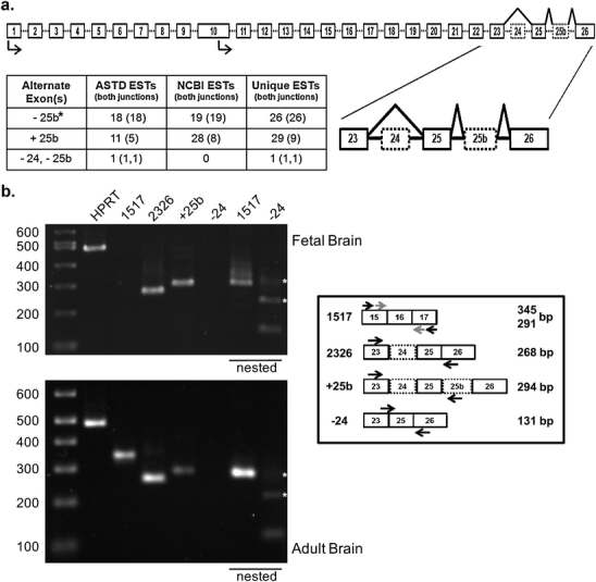 Fig. 3.