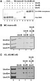 Figure 5.