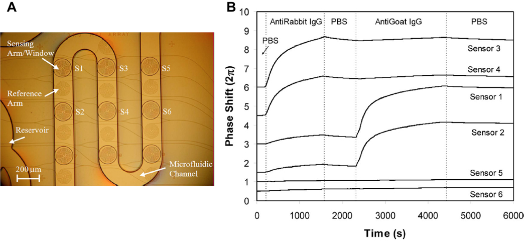 Fig. 4