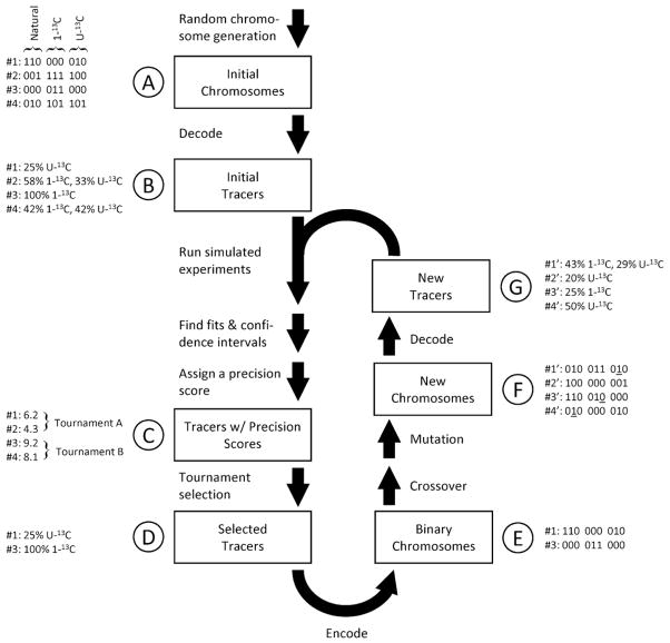 Fig. 1