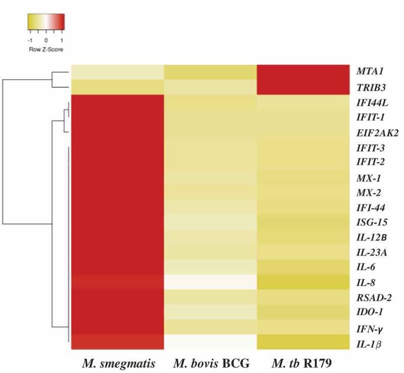 Figure 3.