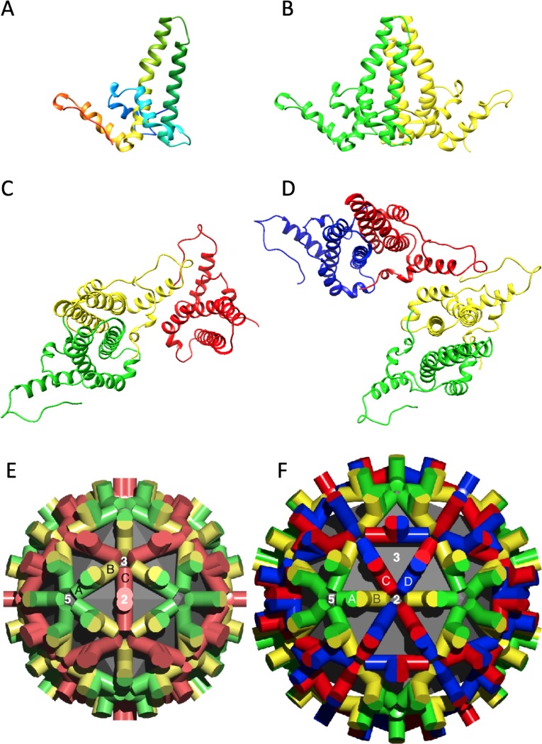 Fig 2