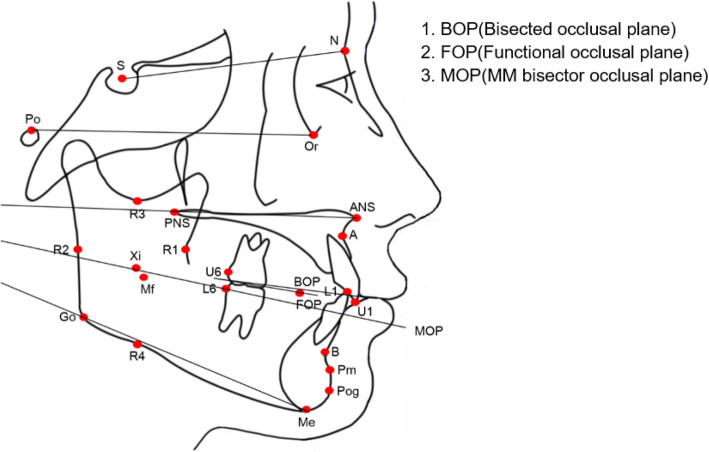 Fig. 3