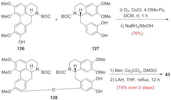 Scheme 8