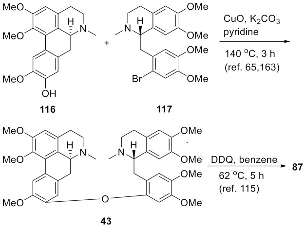 Scheme 5