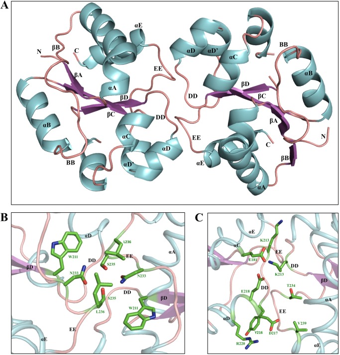 FIGURE 10.