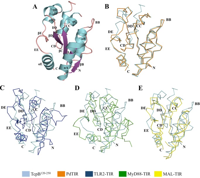 FIGURE 4.