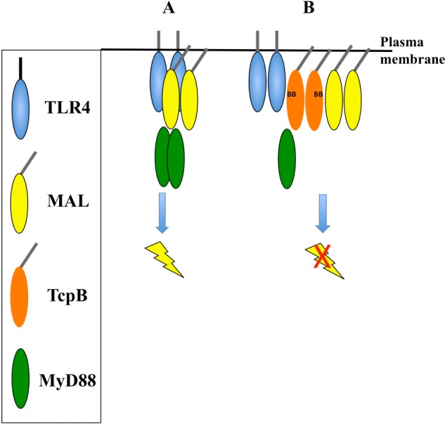 FIGURE 13.