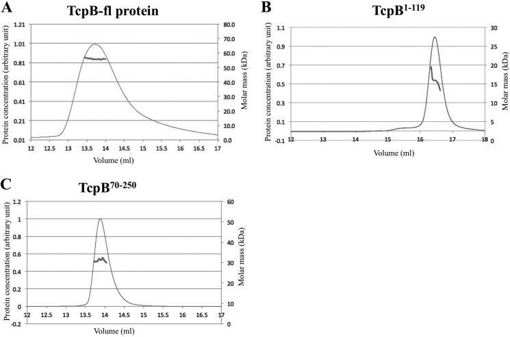 FIGURE 7.