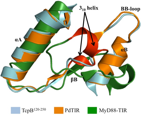 FIGURE 5.