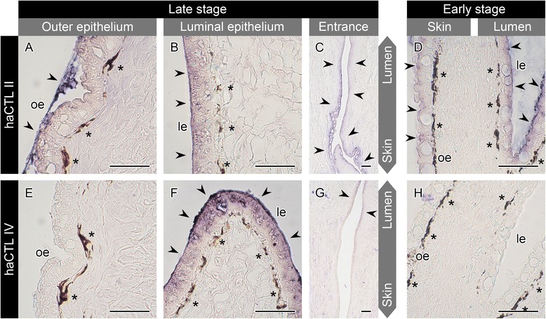 Fig. 9