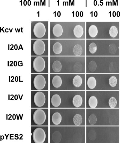 FIGURE 4.