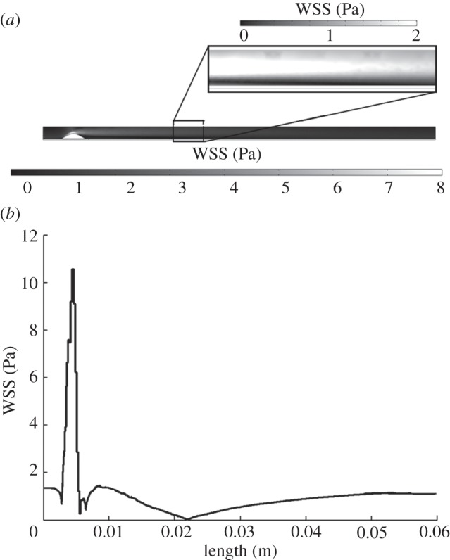 Figure 4.