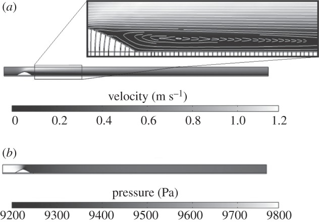 Figure 3.