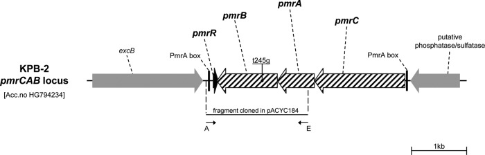 FIG 1