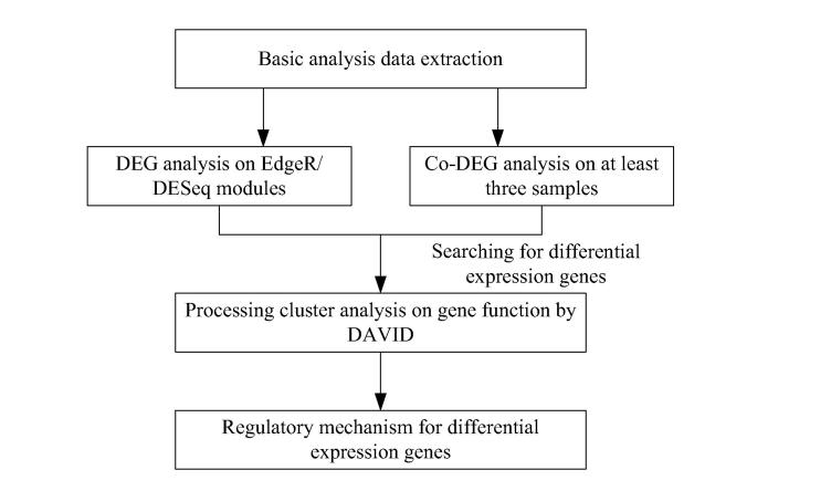 Fig. 20