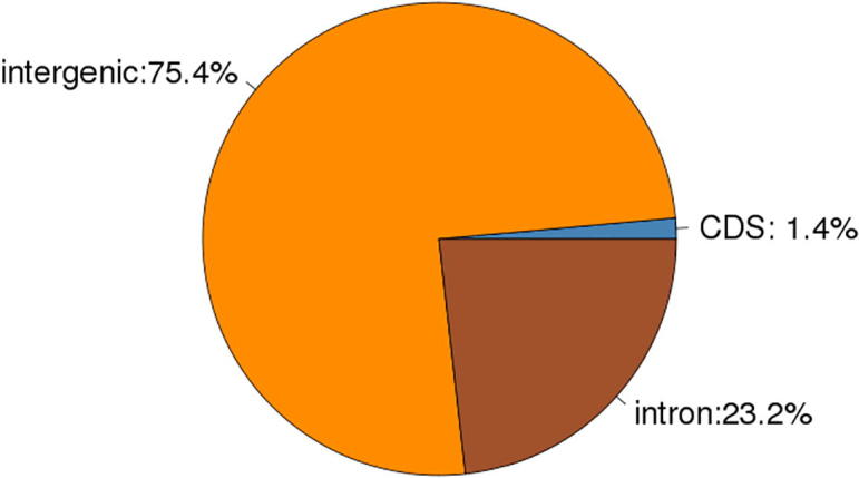 Fig. 15