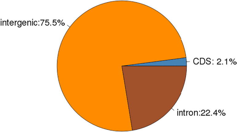 Fig. 16