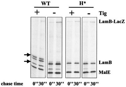 FIG. 9.