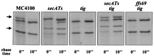 FIG. 10.