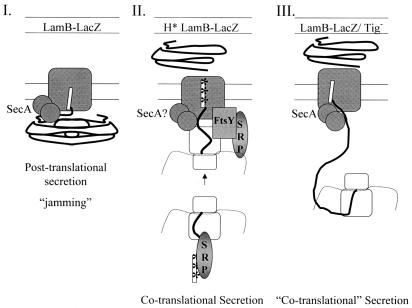 FIG. 11.