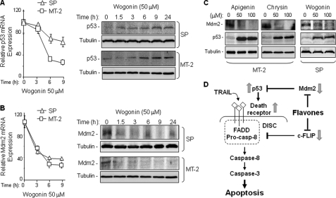 FIGURE 4.