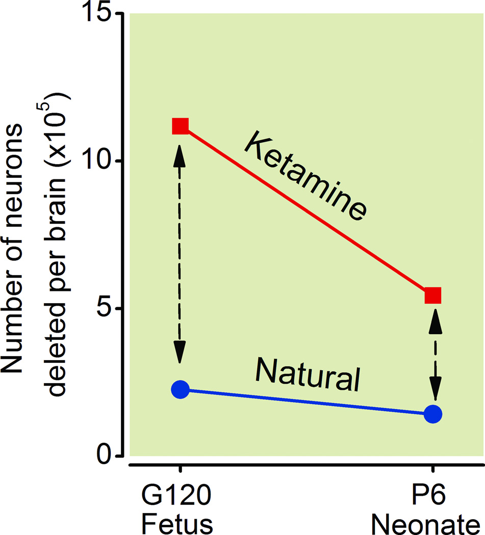 Figure 8