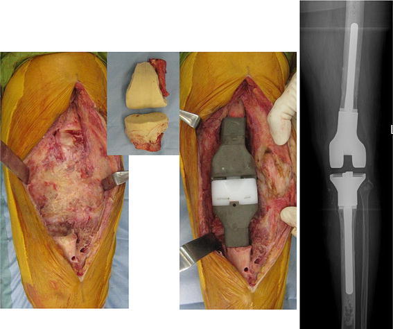 Fig. 7