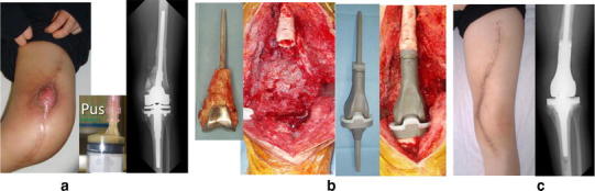 Fig. 5