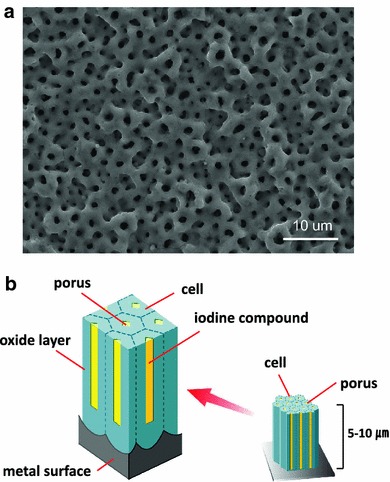 Fig. 1