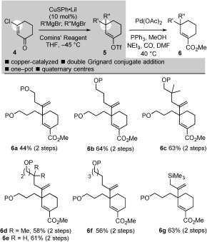 Scheme 2