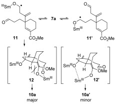 Scheme 5