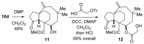 Scheme 6