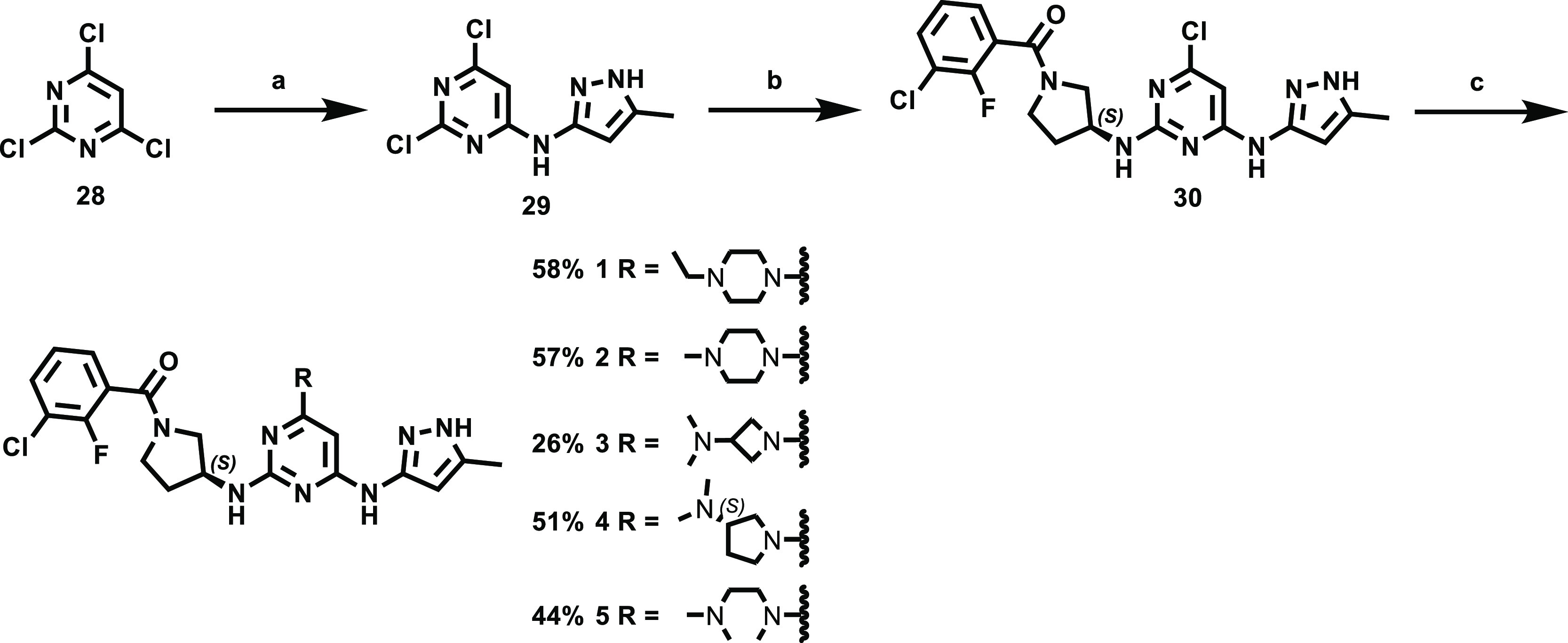 Scheme 1