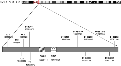 Fig. 1