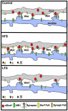 Fig. 9.