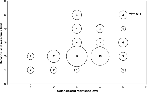 FIG. 1.