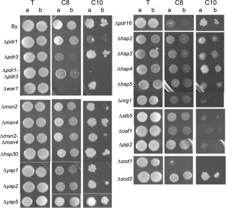 FIG. 7.