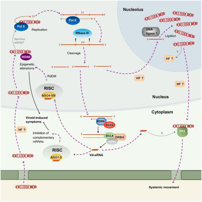 FIGURE 2