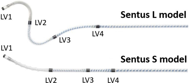 Figure 1